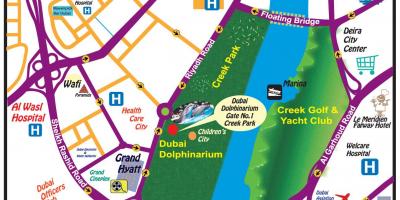 Delfin tregojnë Dubai hartë vendndodhjen e