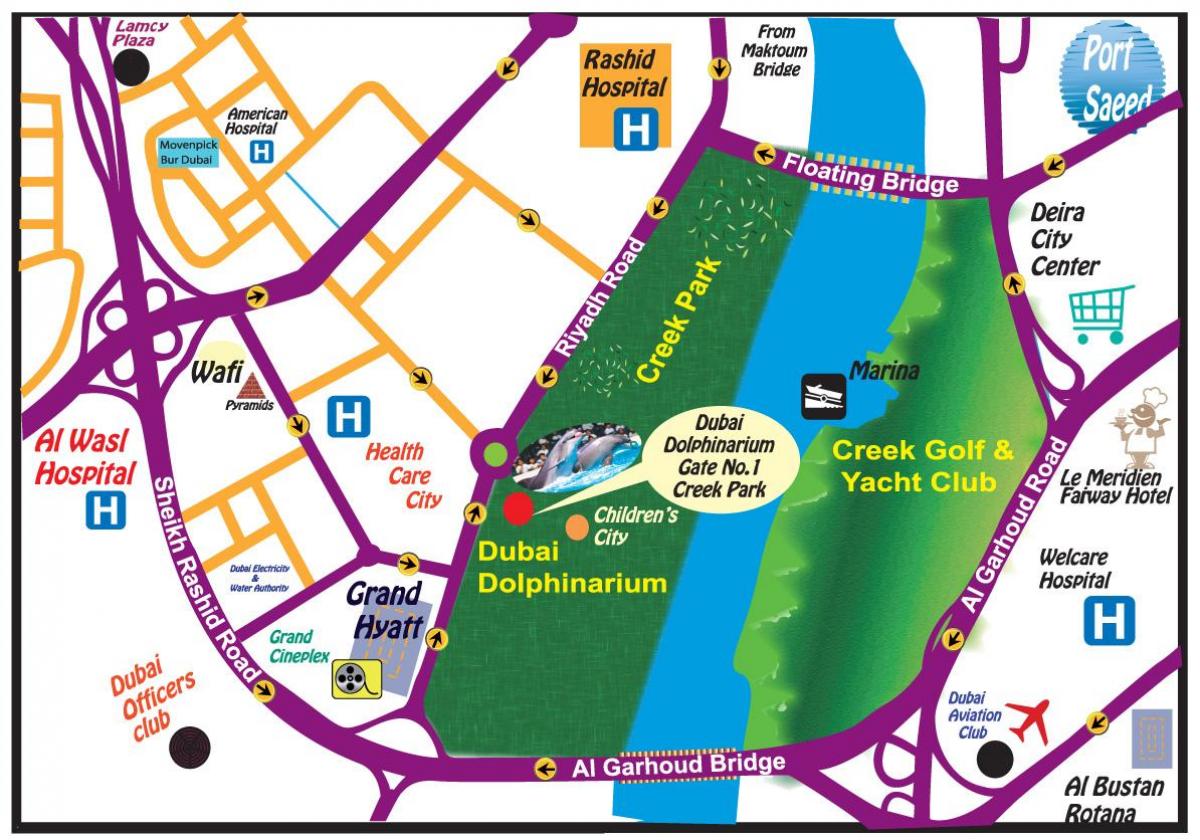 Delfin tregojnë Dubai hartë vendndodhjen e